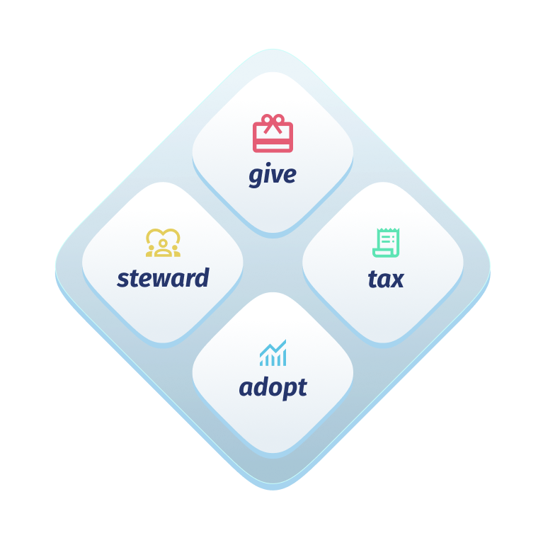 Blue Horizon solutions: Give, Steward, Tax, Adopt